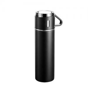 Stainless Steel Vacuum Thermos Flask with Handle